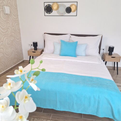 Apartament la parter cu vedere spre cetate cu 1 camera pentru 2 pers.