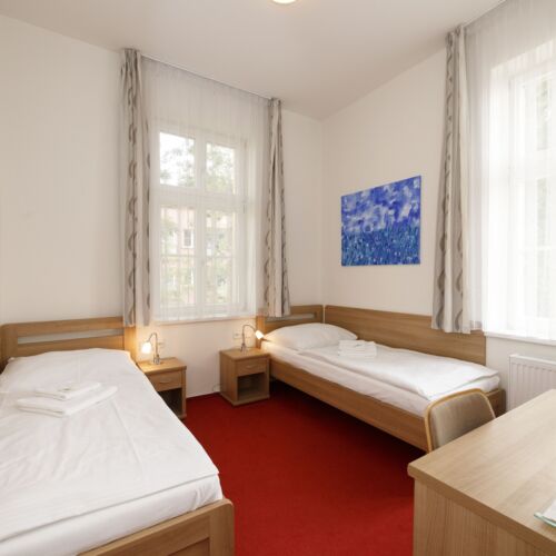 Pokoj se sprchou  pro 2 os.