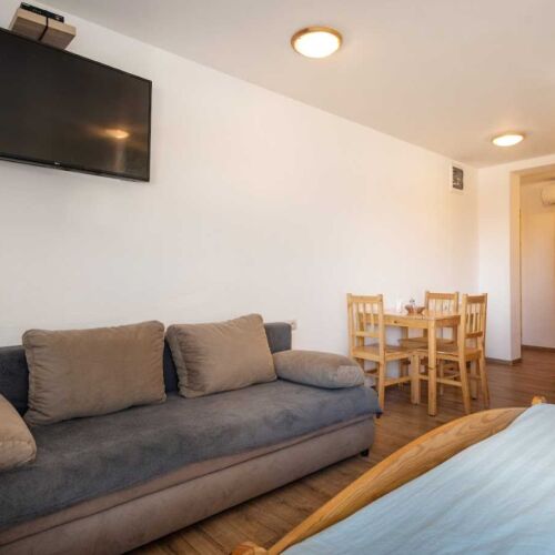 Camera twin deluxe cu duș (se poate solicita pat suplimentar)