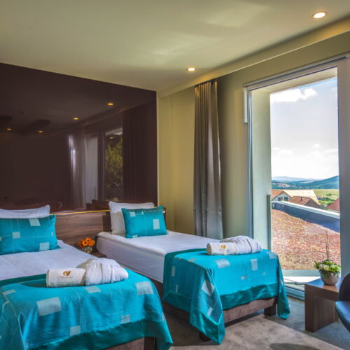 Standard Twin Room (extra bed available)