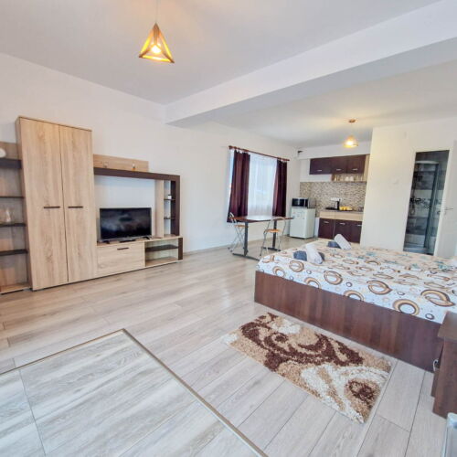 Camera twin standard (se poate solicita pat suplimentar)