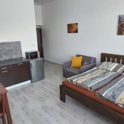 Apartman se sprchou s vlastní kuchyňkou pro 2 os. (s možností přistýlky)