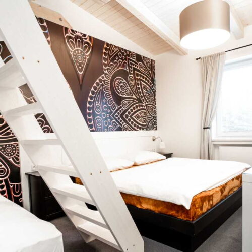 Deluxe Pokoj se sprchou pro 4 os.