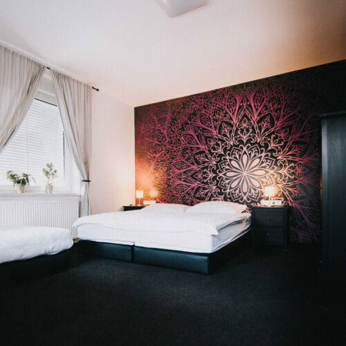 Deluxe Pokoj se sprchou pro 3 os.