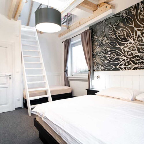 Deluxe Pokoj se sprchou pro 4 os.