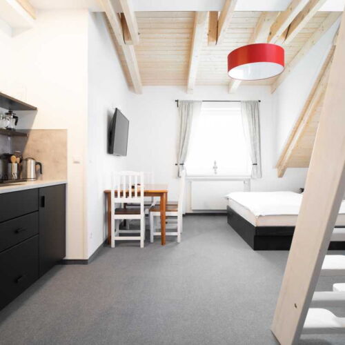 Pokoj se sprchou s vlastní kuchyňkou pro 5 os.