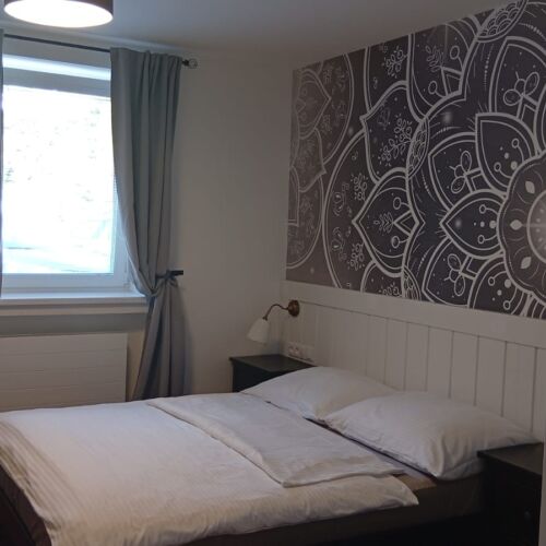 Deluxe Pokoj se sprchou s manželskou postelí