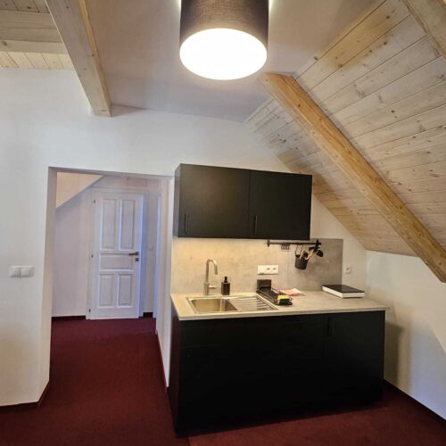 Deluxe Pokoj se sprchou pro 4 os.