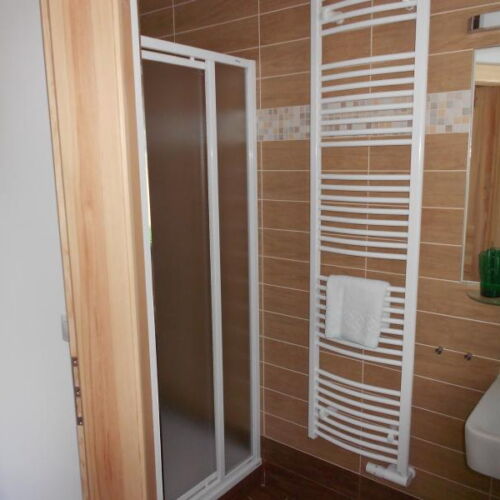 Deluxe Pokoj se sprchou s manželskou postelí