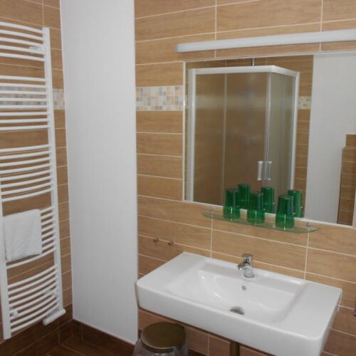 Deluxe Pokoj se sprchou pro 3 os.