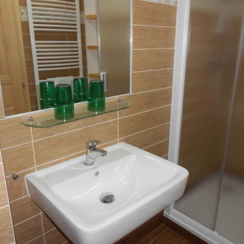 Deluxe Pokoj se sprchou s manželskou postelí