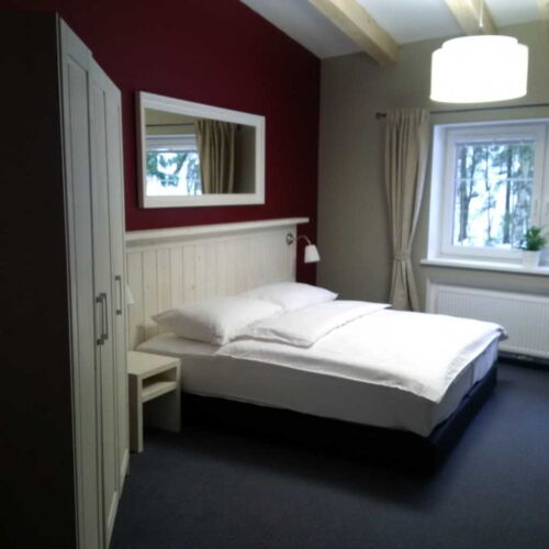 Deluxe Pokoj se sprchou s manželskou postelí