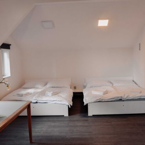 Quadruple Room with Shower and Kitchen