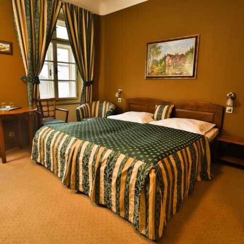 Deluxe Pokoj se sprchou pro 2 os.