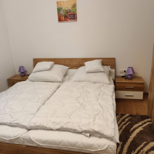 Mountain View Premium Apartment for 6 Persons