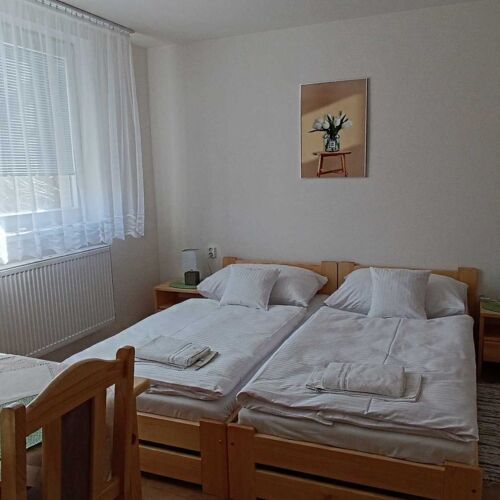 Camera dubla cu aer condiționat cu duș