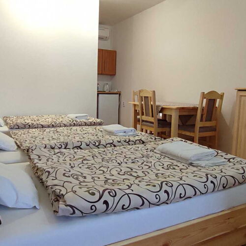 Camera tripla cu aer condiționat cu duș