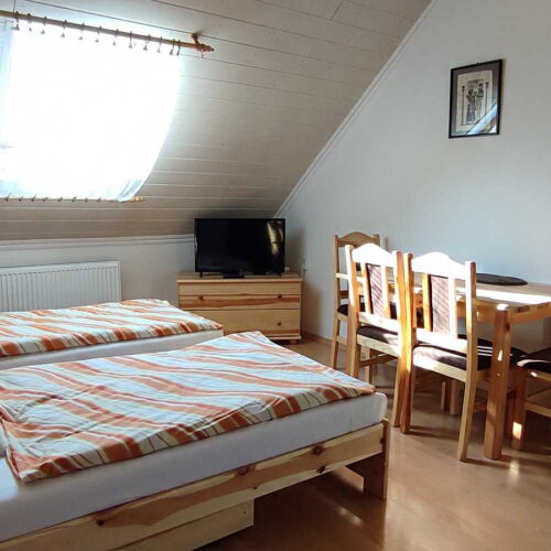 Camera cvadrupla cu aer condiționat cu duș