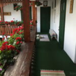 Upstairs 1-Room Suite for 4 Persons with Terrace
