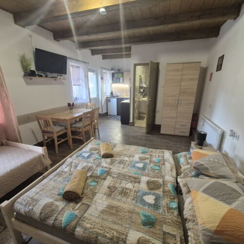 Apartament studio cu vedere spre curte cu 1 camera pentru 4 pers.