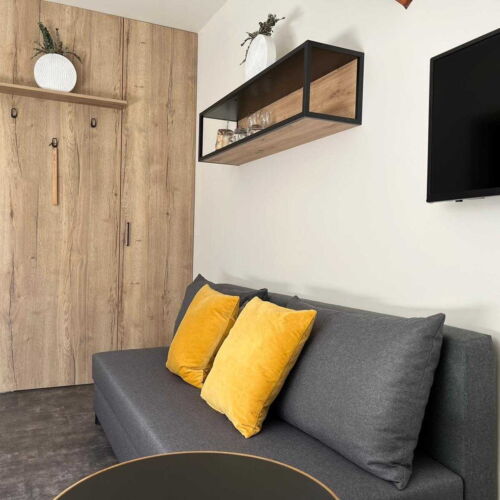 Deluxe Pokoj se sprchou s manželskou postelí (s možností přistýlky)