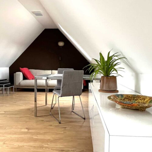 Apartament cu duș cu chicinetă proprie pentru 2 pers.