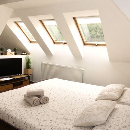 Mansard Triple Room with Shower