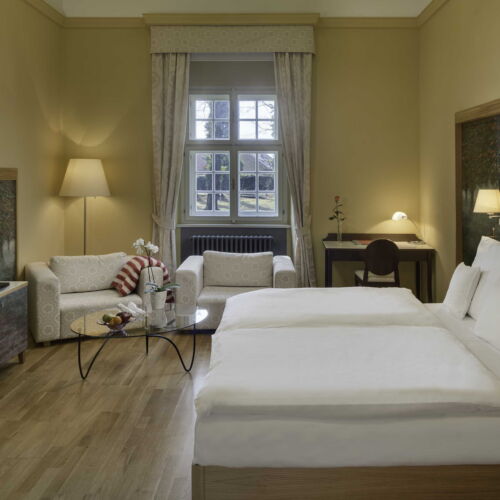 Standard Pokoj se sprchou s manželskou postelí