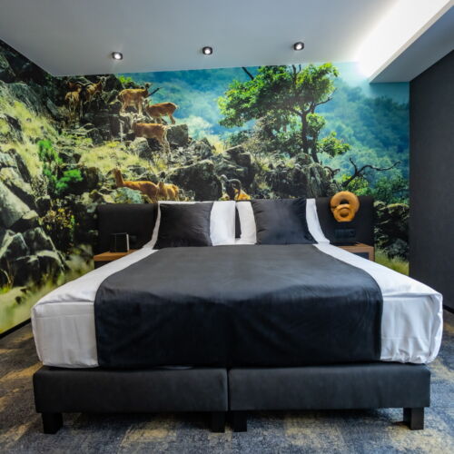 Twin Design Pokoj pro 2 os.