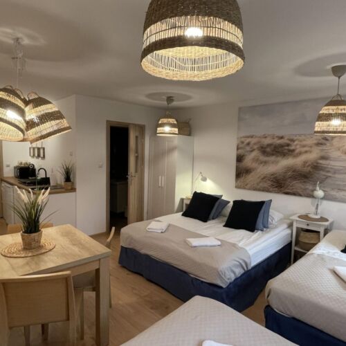 Apartament 4-osobowy z 1 pomieszczeniem sypialnianym