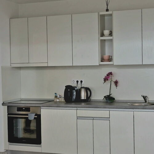 Apartament exclusive cu 1 camera pentru 4 pers.