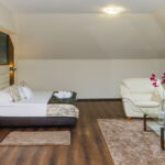 Superior Mansard 1-Room Suite for 2 Persons (extra beds available)