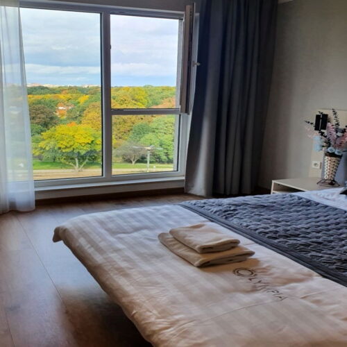 Apartament 2-osobowy na piętrze z panoramą z 1 pomieszczeniem sypialnianym