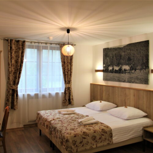 Comfort Garden View Twin Room