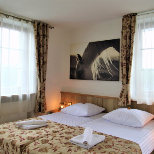 Comfort Garden View Twin Room