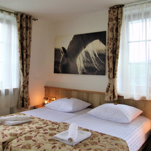Comfort Garden View Twin Room