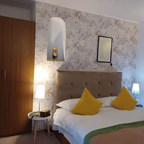 Camera dubla standard