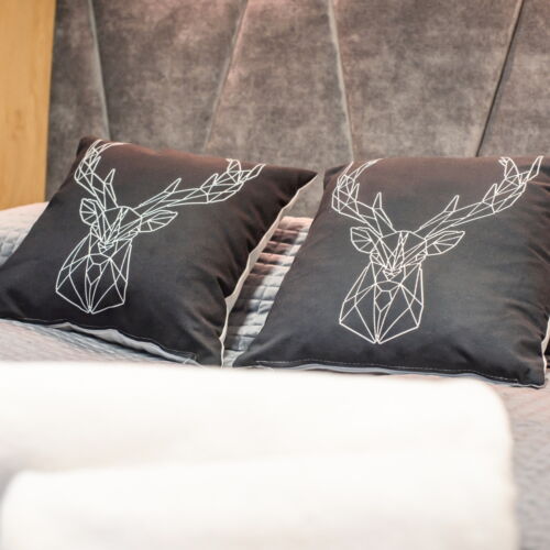 Pokój 2-osobowy w suterenie ze wspólnym aneksem kuchennym (możliwa dostawka)