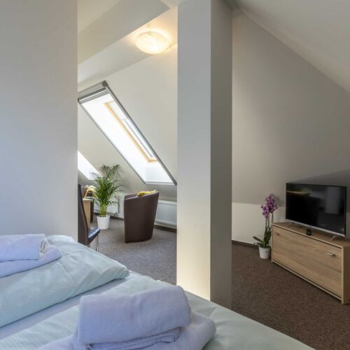 Pokoj pro 3 os. (s možností přistýlky)