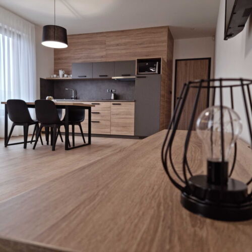 Superior Apartman se sprchou pro 4 os. (s možností přistýlky)