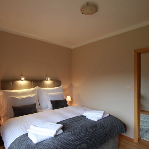 Camera twin superior cu duș (se poate solicita pat suplimentar)