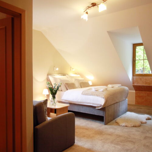 Camera twin deluxe cu duș (se poate solicita pat suplimentar)