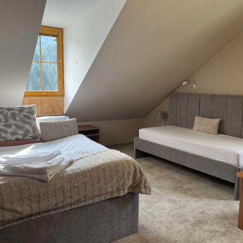 Camera tripla deluxe cu duș (se poate solicita pat suplimentar)