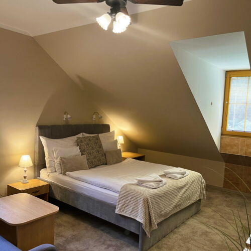 Camera twin deluxe cu duș (se poate solicita pat suplimentar)