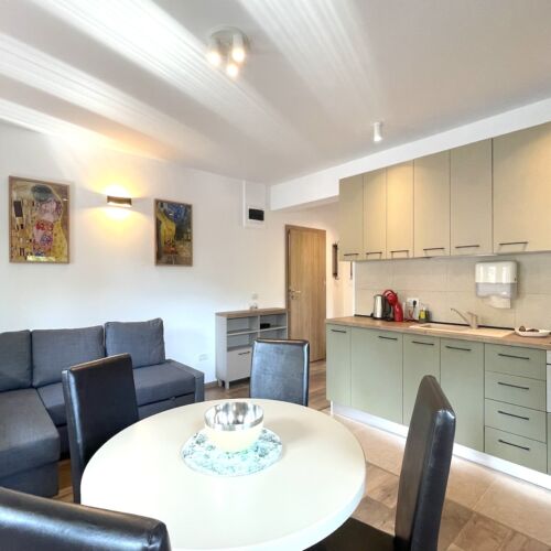 Apartament deluxe cu vedere spre munte cu 2 camere pentru 4 pers.