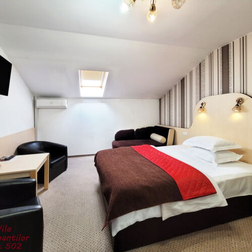 Camera dubla mansardă