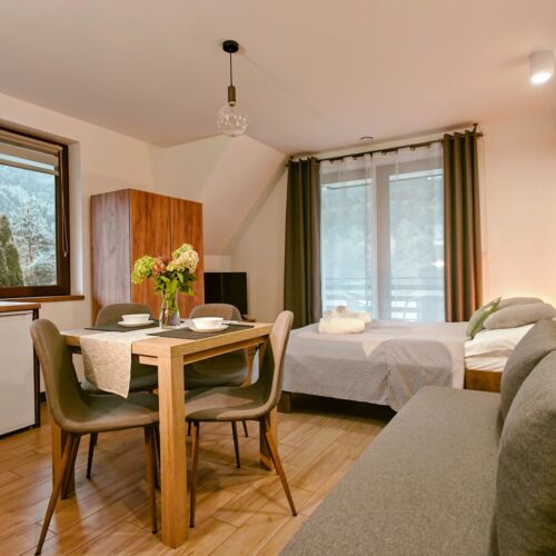 Apartament 4-osobowy z 1 pomieszczeniem sypialnianym