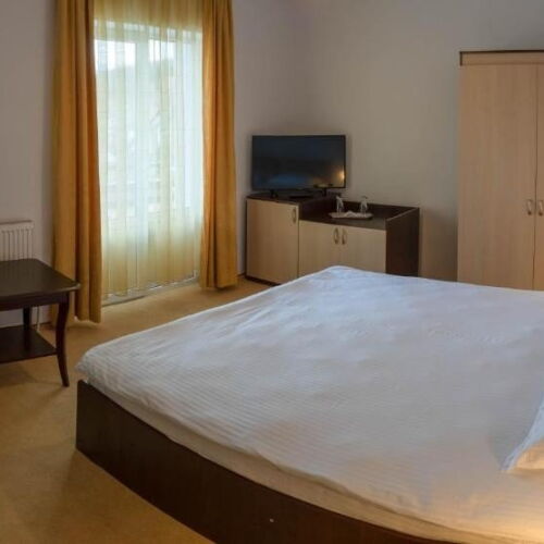 Standard Pokoj s balkónem s manželskou postelí