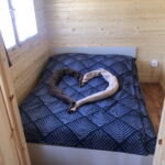 Romantik Roubenka (jako celek) s manželskou postelí celý Dům