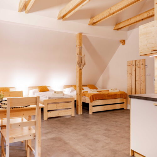 Apartman se sprchou s vlastní kuchyňkou pro 4 os.